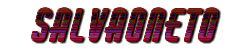 Salvaoneto
